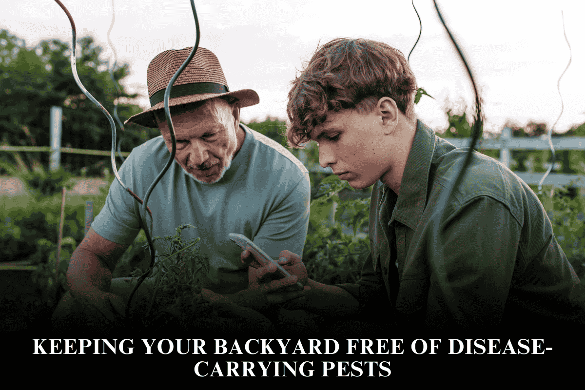 Keeping Your Backyard Free of Disease-Carrying Pests